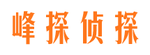 精河市私家侦探公司